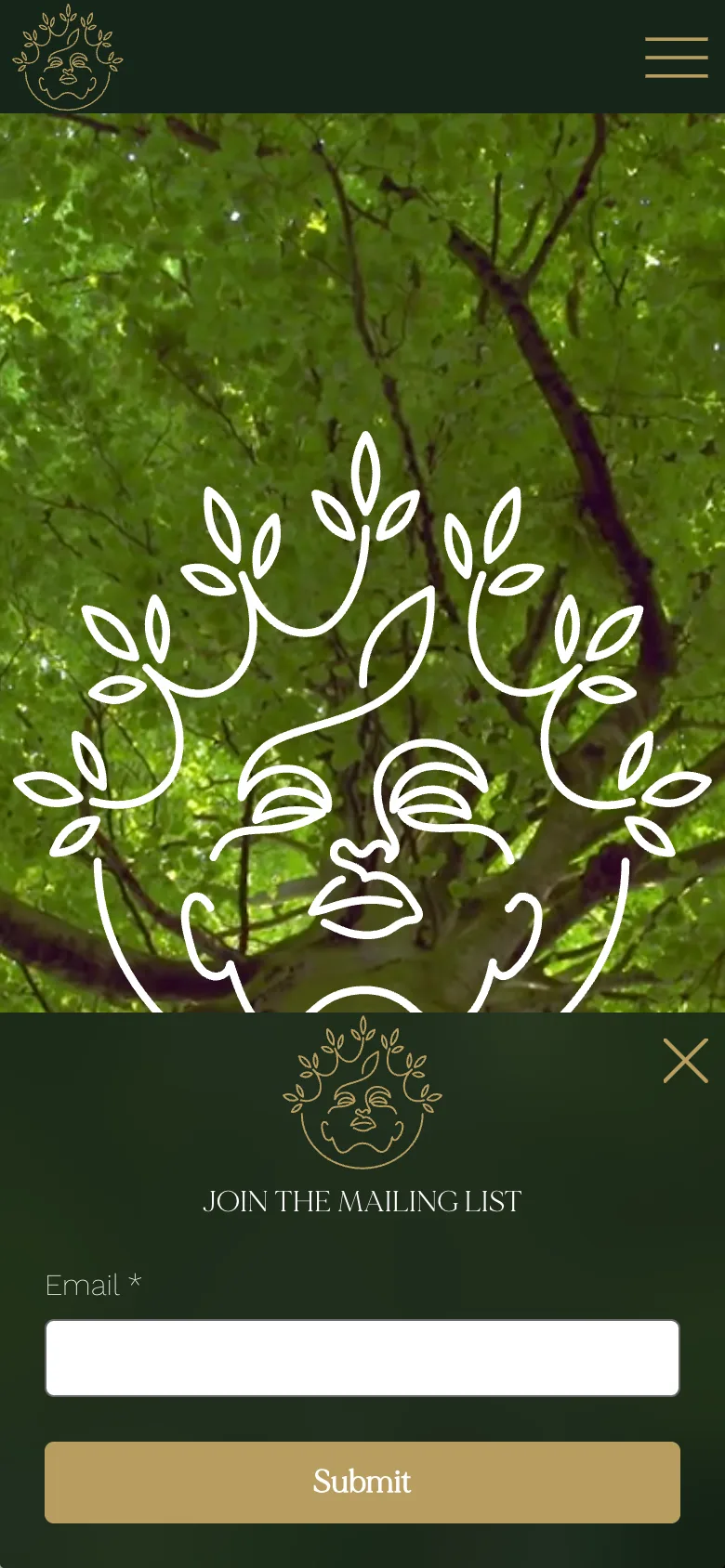 The Girl in A Tree website on mobile