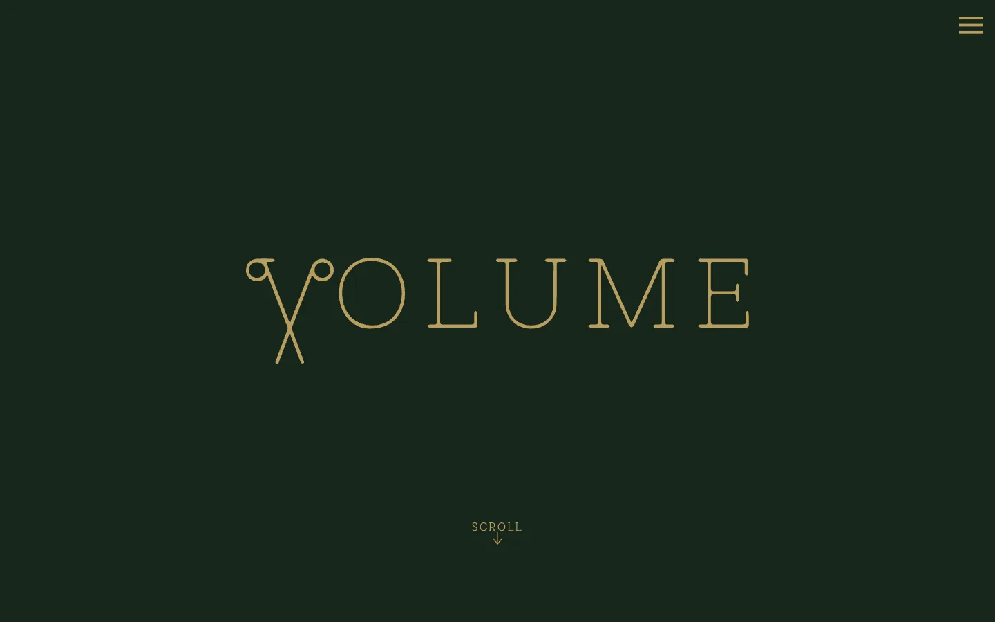Volume Hair UK website preview